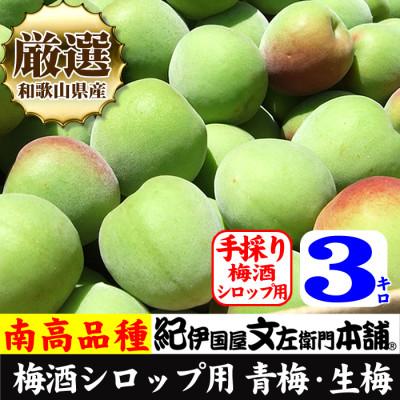 ふるさと納税 上富田町 厳選南高梅 フレッシュ青梅(生梅)[緑]3kg 大サイズ 朝取り手選別 南高梅 梅酒用 うめ