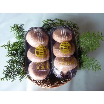 ふるさと納税 さくら市 オーガニック栽培肉厚大型しいたけ "さくらてんけいこ" 3パックセット(個数おまかせ)