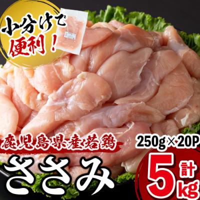 ふるさと納税 志布志市 鹿児島県産若鶏ささみ 計5kg(250g×20パック)!旨味と鮮度を保つ真空パックと便利な小分け♪