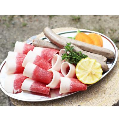 ふるさと納税 雲南市 イノシシBBQセット 5人前(猪肉、イノシシソーセージ)
