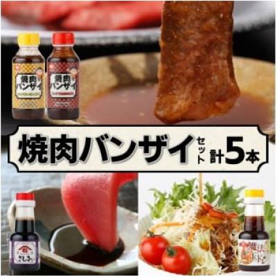 ふるさと納税 串間市 焼肉バンザイセット 計5本