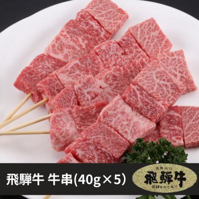 ふるさと納税 高山市 飛騨牛 牛串 5本入り×2パックセット