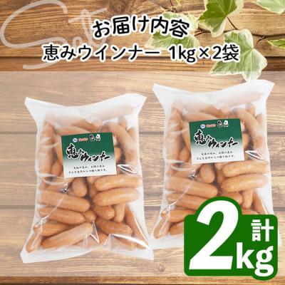 ふるさと納税 志布志市 【訳あり・業務用】パリッとジューシー!恵みウインナー　計2kg(1kg×2袋) |  | 01