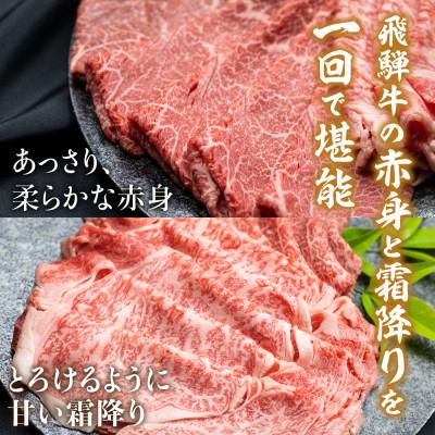 ふるさと納税 高山市 飛騨牛 赤身・霜降り 食べ比べ 600g　TR3922 |  | 01