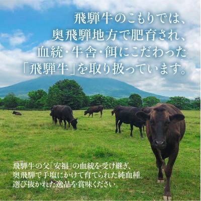 ふるさと納税 高山市 飛騨牛 赤身・霜降り 食べ比べ 600g　TR3922 |  | 03