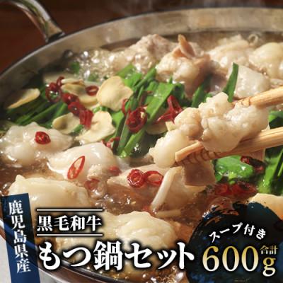 ふるさと納税 指宿市 鹿児島県産黒毛和牛もつ鍋セット2人前×2セット(IB029-008)