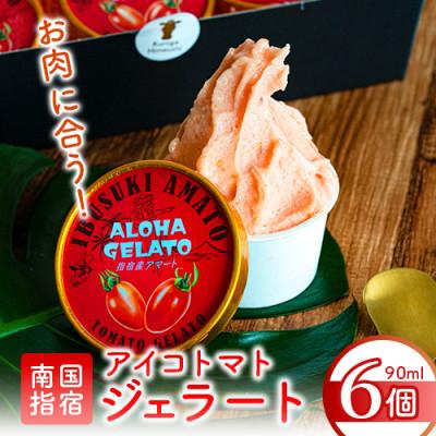 ふるさと納税 指宿市 肉屋が作った!お肉に合う指宿産アイコトマトジェラート90ml×6個(010-021)