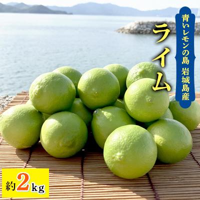 ふるさと納税 上島町 青いレモンの島 ライム約2kg