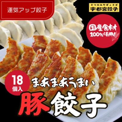 ふるさと納税 宇都宮市 宇都宮餃子 運気アップ餃子 まあまあウマイ餃子18個 保存料不使用