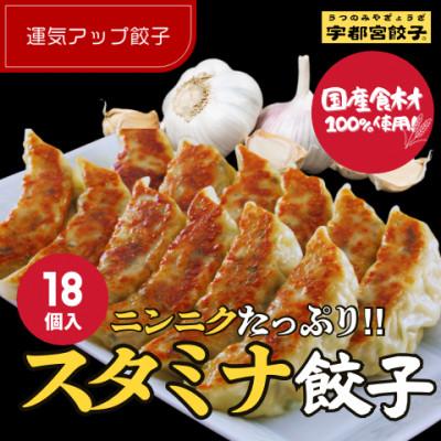 ふるさと納税 宇都宮市 宇都宮餃子 運気アップ餃子 スタミナ餃子18個 保存料不使用
