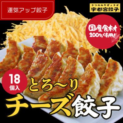 ふるさと納税 宇都宮市 宇都宮餃子 運気アップ餃子 チーズ鶏餃子18個 保存料不使用