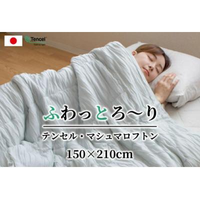 ふるさと納税 泉大津市 とろけるような心地よさ オールシーズン マシュマロフトン グレー K01TMN7SLG