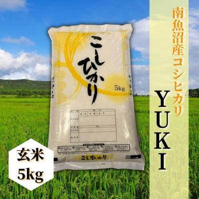 ふるさと納税 南魚沼市 [令和8年産 新米予約]南魚沼産コシヒカリ「YUKI」(玄米5kg)新潟県の特A地区の美味しいお米