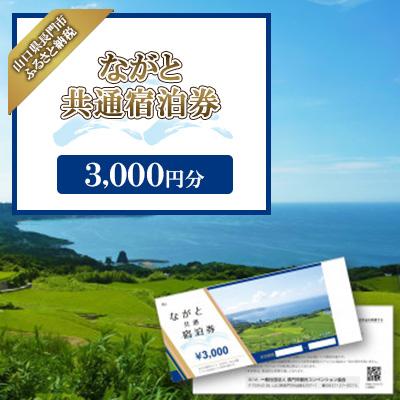 ふるさと納税 長門市 [山口県長門市]ながと共通宿泊券3,000円分