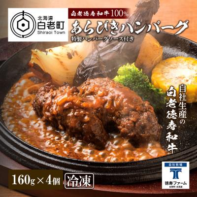 ふるさと納税 白老町 粗挽き 生 ハンバーグ デミグラスソース付き 160g×4袋セット