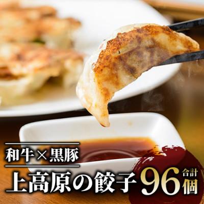 ふるさと納税 指宿市 [上高原の餃子]肉餃子96個(010-173)