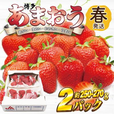 ふるさと納税 太宰府市 [2027年2月上旬〜4月下旬発送予定]博多あまおう(春) 約250g-270g×2パック/太宰府市