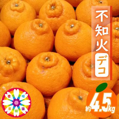 ふるさと納税 八幡浜市 愛咲果樹園 「 不知火 ( デコ )」約4.5kg[C71-12]