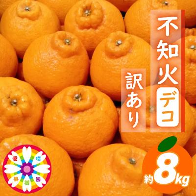 ふるさと納税 八幡浜市 愛咲果樹園 「 不知火 ( デコ )」 訳あり 約8kg【C71-13】 | 