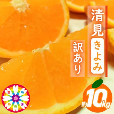 ふるさと納税 八幡浜市 愛咲果樹園 「 清見 」 訳あり 約10kg【C71-15】 | 