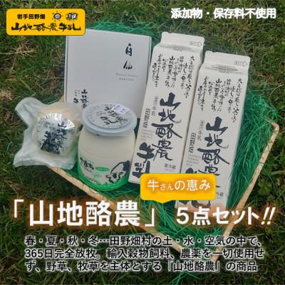 ふるさと納税 田野畑村 〜大自然で生まれ育った牛さんの恵〜 田野畑山地酪農乳製品詰合せ4品5点セット!