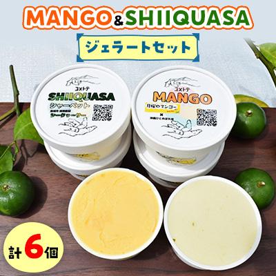 ふるさと納税 南城市 MANGO RICE GELATO&amp;SHIIQUASA シャーベット 6個セット(2種×各3個)
