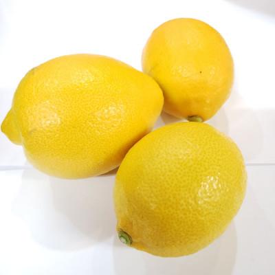 ふるさと納税 印南町 和歌山産レモン/グリーンレモン 約3kg 【国産レモン】 |  | 03
