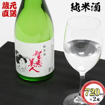 ふるさと納税 杵築市 智恵美人純米酒 720ml×2本セット