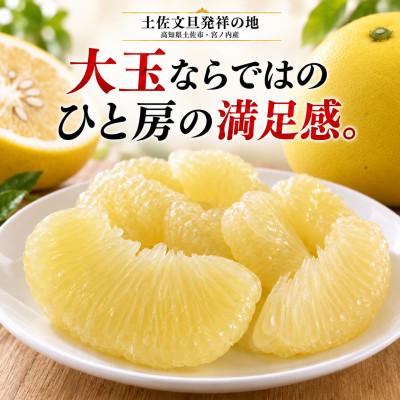 ふるさと納税 土佐市 【日本ギフト大賞受賞・先行予約】園主こだわり土佐文旦 大玉3kg 家庭用 高知県土佐市産 やの一果彩 |  | 01