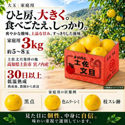 ふるさと納税 土佐市 【日本ギフト大賞受賞・先行予約】園主こだわり土佐文旦 大玉3kg 家庭用 高知県土佐市産 やの一果彩 |  | 02