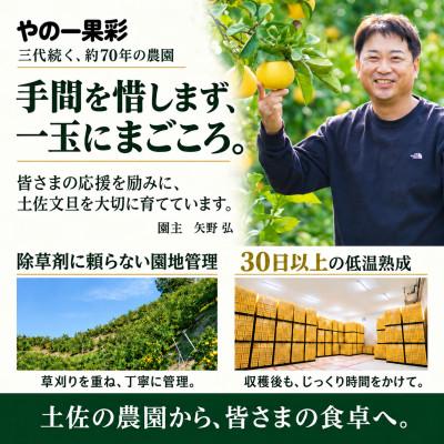 ふるさと納税 土佐市 【日本ギフト大賞受賞・先行予約】園主こだわり土佐文旦 大玉3kg 家庭用 高知県土佐市産 やの一果彩 |  | 03