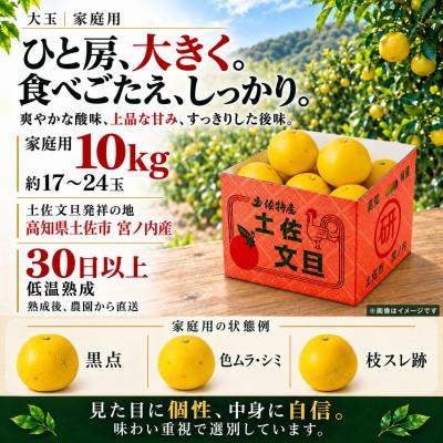 ふるさと納税 土佐市 【日本ギフト大賞受賞・先行予約】園主こだわり土佐文旦大玉10kg 家庭用 高知県土佐市産 やの一果彩 |  | 02