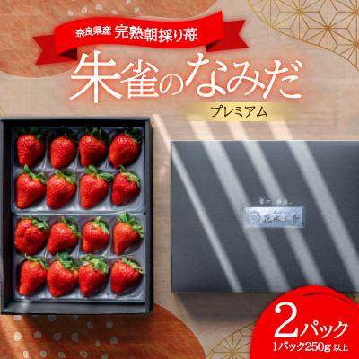 ふるさと納税 高取町 ※糖度11度以上※ 朱雀のなみだ プレミアム (by 花水土香) 完熟朝採り苺(250g以上×2p)