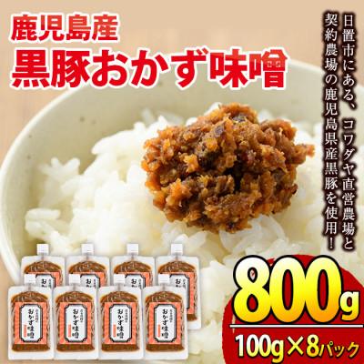 ふるさと納税 日置市 黒豚おかず味噌(計800g・100g×8パック)(日置市)