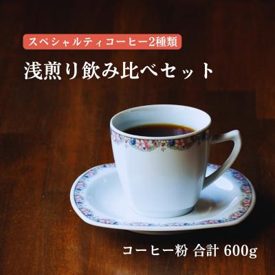 ふるさと納税 豊川市 スペシャルティコーヒー 浅煎りコーヒー豆2種類セット 合計600g(粉 中挽き)