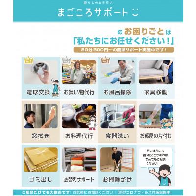 ふるさと納税 常陸太田市 まごころサポート2時間分チケット (20分サポート券×6枚)