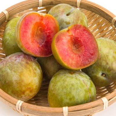 ふるさと納税 南アルプス市 [2026年発送/先行受付]すももソルダム 大玉2L〜4Lサイズ1.8kg(約16~20玉)