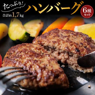 ふるさと納税 阿蘇市 くまもとあか牛使用 種類いろいろハンバーグセット(ハンバーグ6種類食べ比べセット)