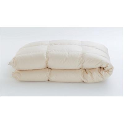 ふるさと納税 愛荘町 IWATA unbleached 羽ぶとん(レギュラー)・シングルサイズ