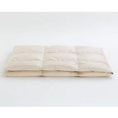 ふるさと納税 愛荘町 IWATA unbleached ダウンケット・セミダブルサイズ