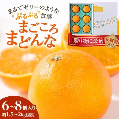 ふるさと納税 八幡浜市 紅まどんなと同品種 愛媛果試28号 ギフトボックス入り6〜8個[D25-91]