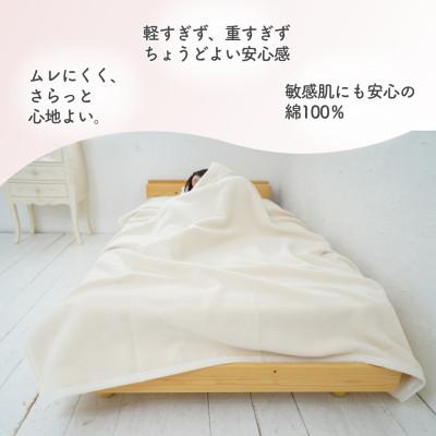 ふるさと納税 泉大津市 綿100%　シングル綿毛布　|　オーガニック綿使用　|毛布の町 泉大津市産 |  | 02