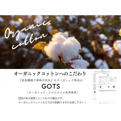ふるさと納税 泉大津市 綿100%　シングル綿毛布　|　オーガニック綿使用　|毛布の町 泉大津市産 |  | 03