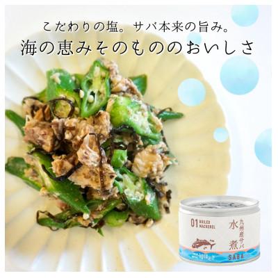 ふるさと納税 松浦市 缶詰工場直送　伝統のさば缶「旬ほとぎ」水煮12缶 |  | 01