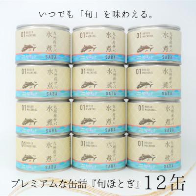 ふるさと納税 松浦市 缶詰工場直送　伝統のさば缶「旬ほとぎ」水煮12缶 |  | 02