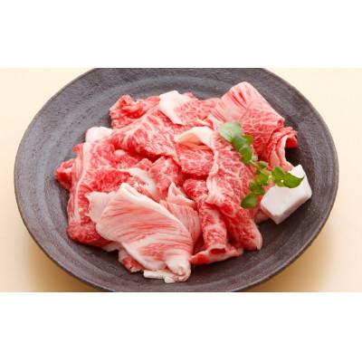 ふるさと納税 神戸市 [冷蔵便]神戸牛専門店の贅沢まかない肉(500g)