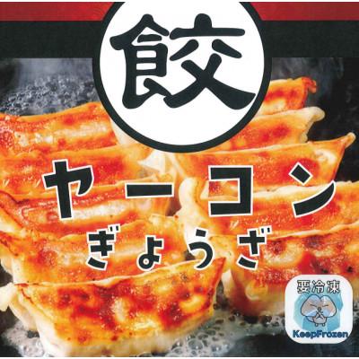 ふるさと納税 天栄村 天栄村特産を使ったヤーコン餃子 60個