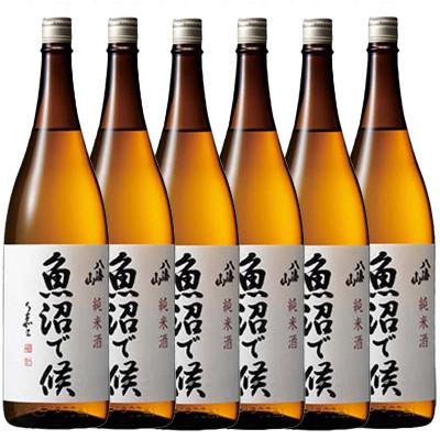 ふるさと納税 南魚沼市 日本酒 八海山 純米酒 魚沼で候 1800ml×6本 新潟県魚沼地域限定