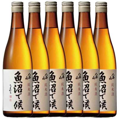 ふるさと納税 南魚沼市 日本酒 八海山 純米酒 魚沼で候 720ml×6本 新潟県魚沼地域限定
