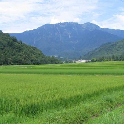 ふるさと納税 南魚沼市 日本酒 八海山 純米大吟醸 時季限定 1800ml |  | 03